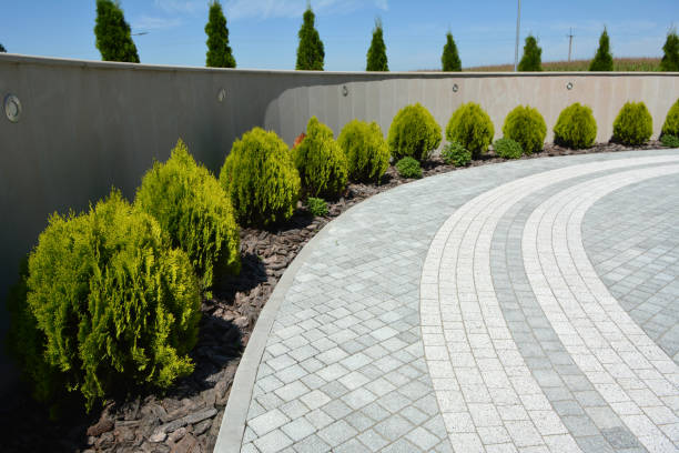 Best Affordable Driveway Paving  in Vernon Center, NJ